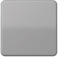 Лицевая панель Jung CD500 для 1-кл. выключателя серый картинка